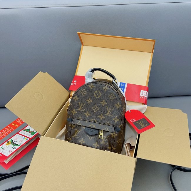 Louis Vuitton Palm Springs Backpack 