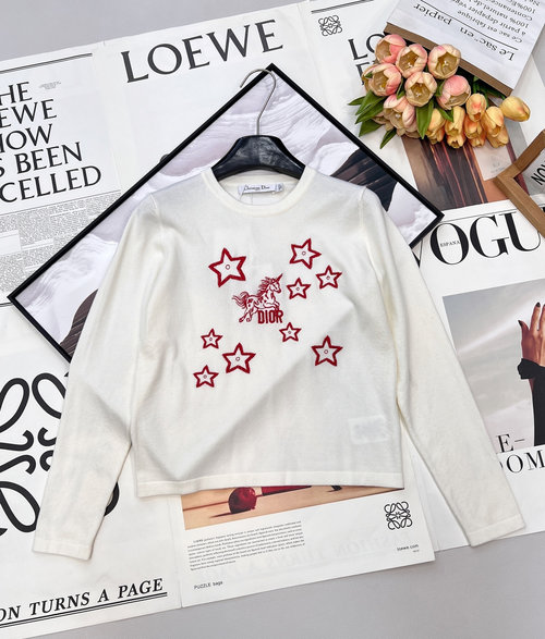 Dior Embroidered Wool Blend Long-Sleeve Knit Top