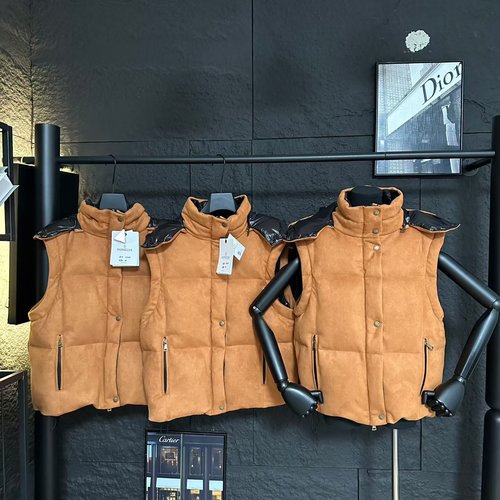 Moncler Removable - Sleeves Down Jacket in Khaki and Brown