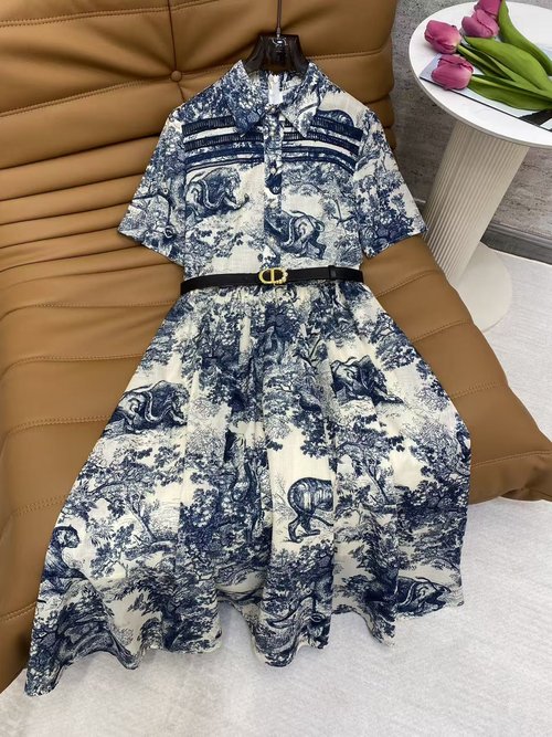 Dior Romantic Blue-White Printed Cotton Dress for Occasions