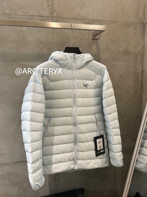 ArcTeryx 850 Fill Power Goose Down Puffer Jacket