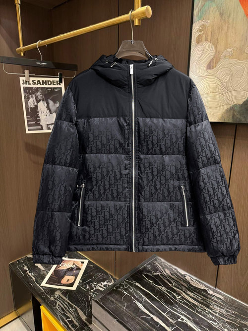 Dior Premium Down Jacket with Logo and Colorful Design