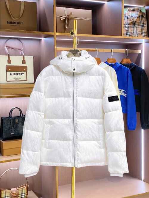 Dior Premium Down Jacket with 90% Down, Logo, and Vibrant Design