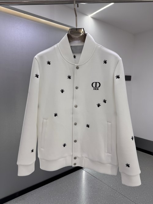 Dior Classic Letter Logo Embroidered Long - Sleeve Hoodie