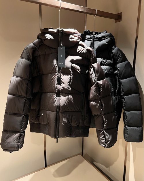 Dior Premium Luxury Casual Down Jacket