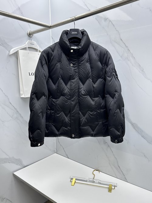 Dior Stylish Collar Down Jacket, High-Quality Fill