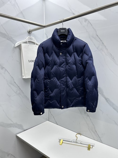 Dior Fashionable Down Jacket with Structural Design